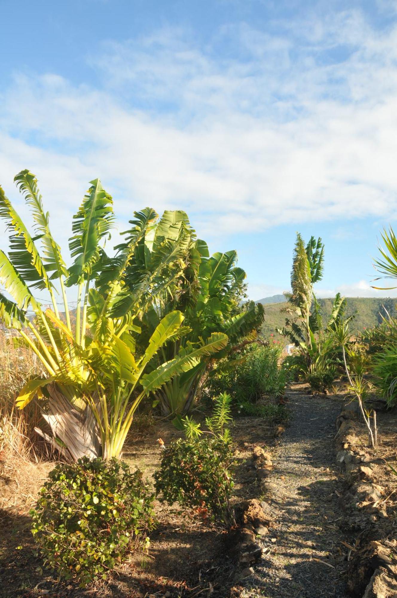 Mango Island Lodges Saint Joseph Luaran gambar