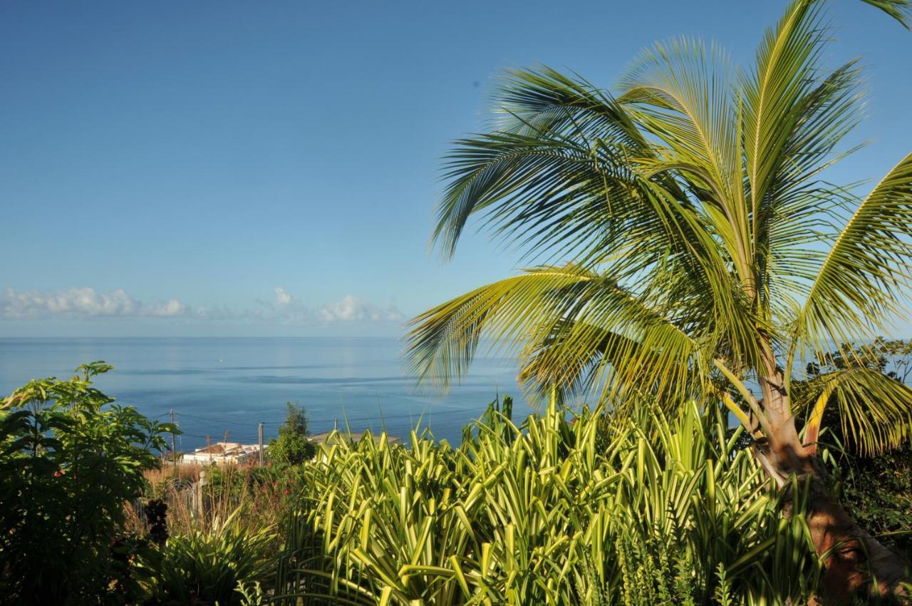 Mango Island Lodges Saint Joseph Luaran gambar