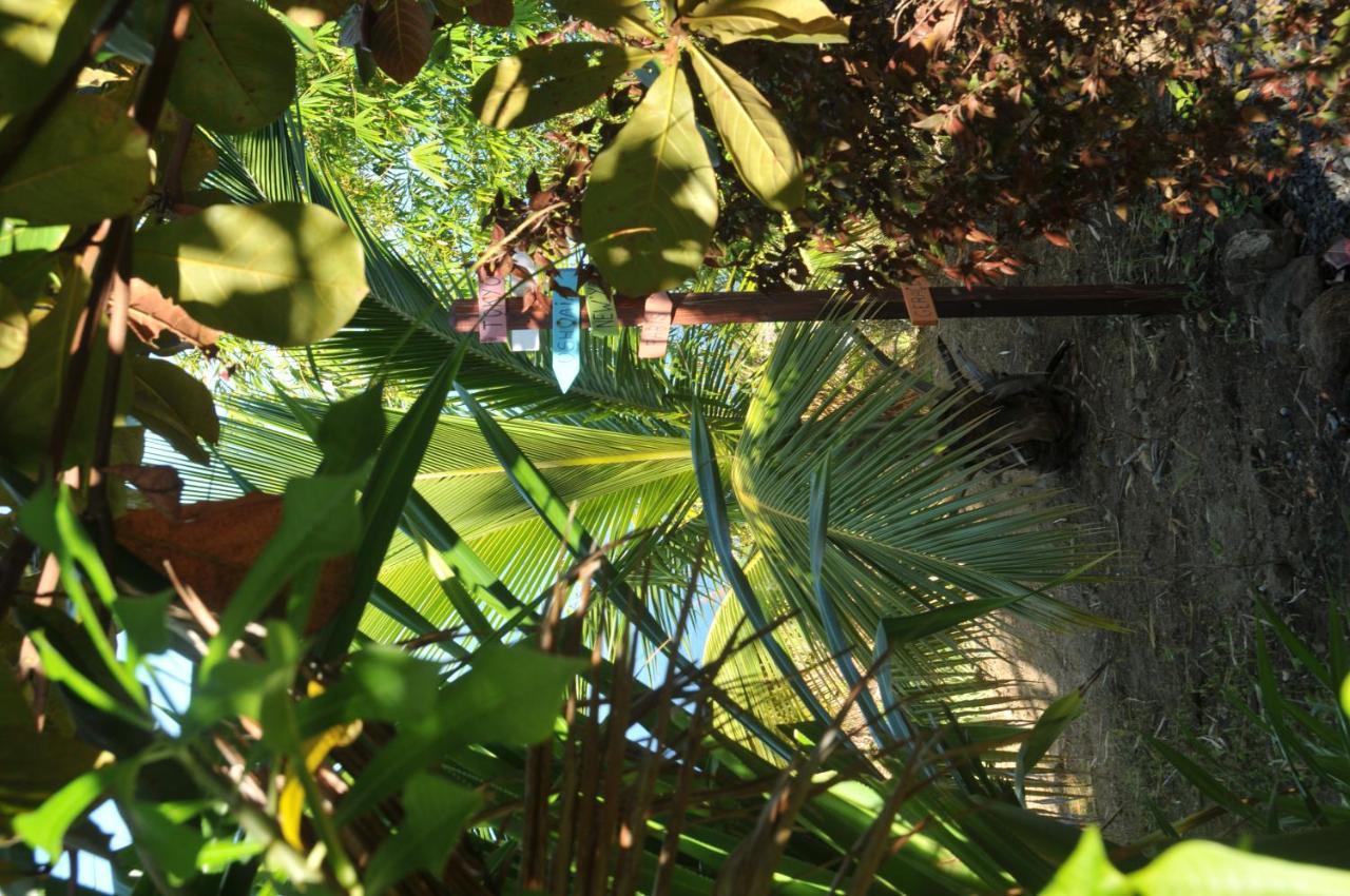 Mango Island Lodges Saint Joseph Luaran gambar